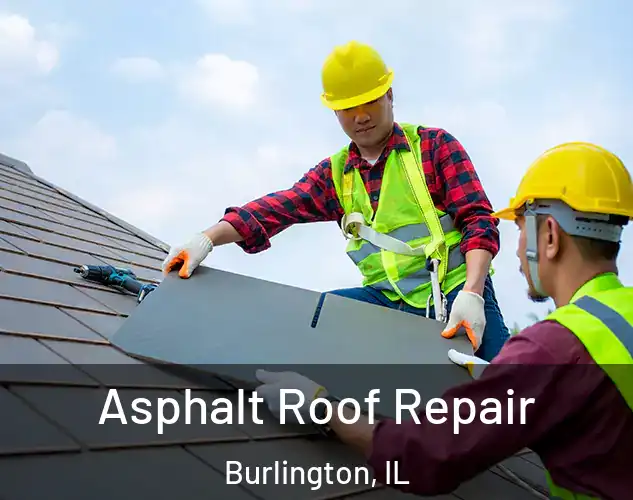  Asphalt Roof Repair Burlington, IL
