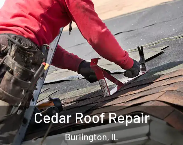  Cedar Roof Repair Burlington, IL