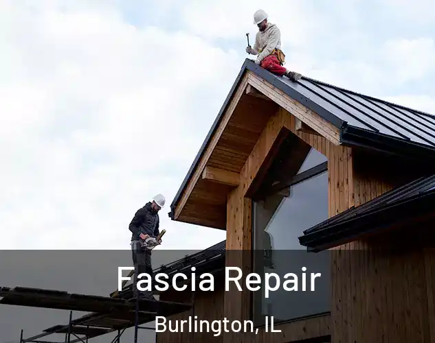  Fascia Repair Burlington, IL