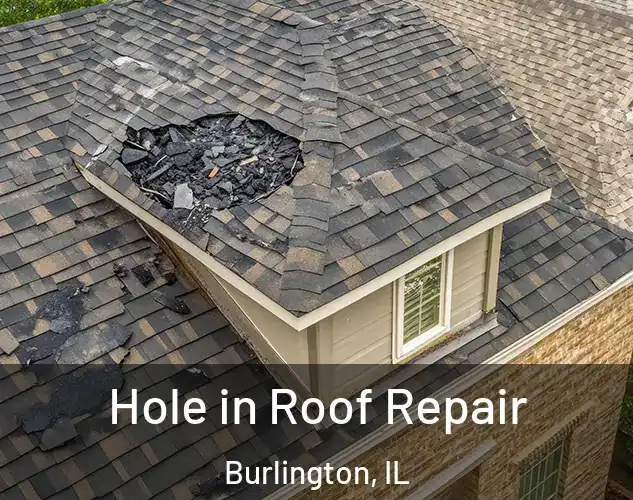  Hole in Roof Repair Burlington, IL
