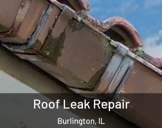  Roof Leak Repair Burlington, IL
