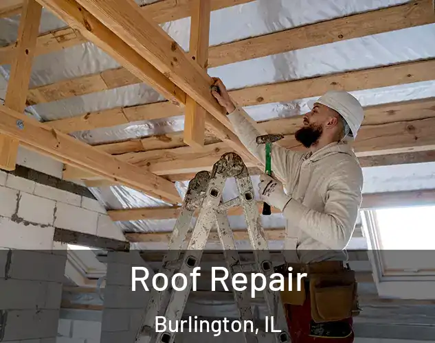  Roof Repair Burlington, IL