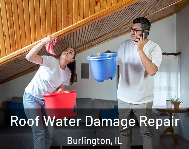  Roof Water Damage Repair Burlington, IL