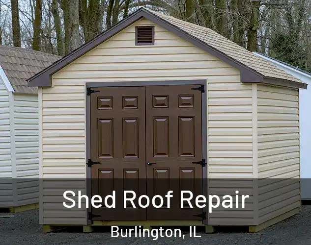  Shed Roof Repair Burlington, IL