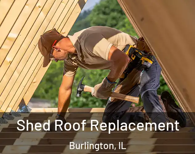  Shed Roof Replacement Burlington, IL