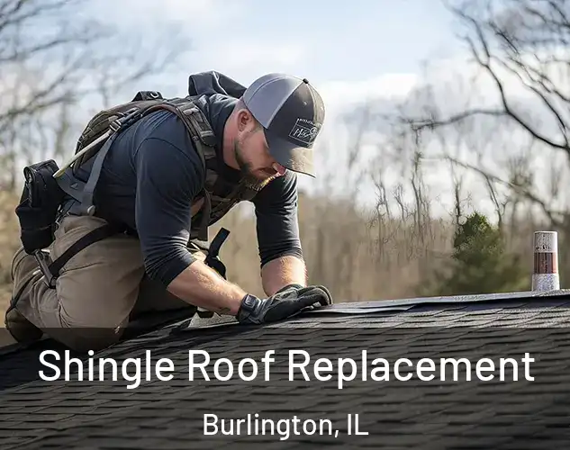  Shingle Roof Replacement Burlington, IL